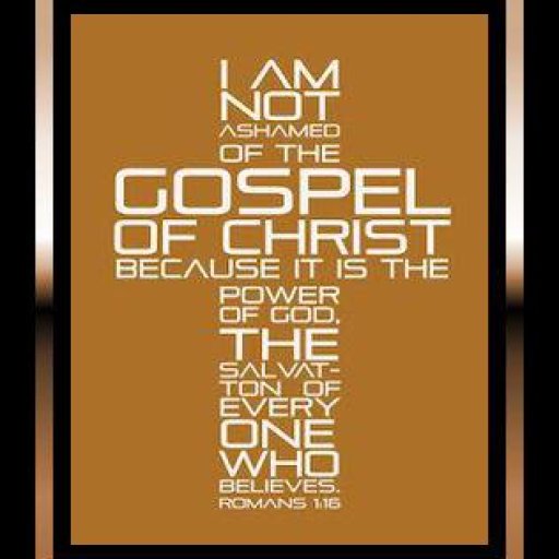 10245345_1410142682583906_9781110_n