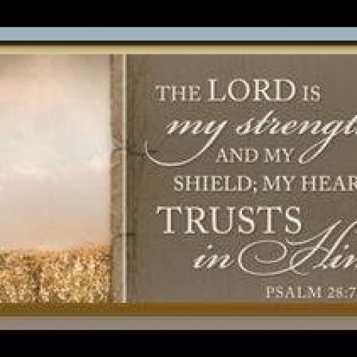 10153925_1406226186308889_1354254735_n