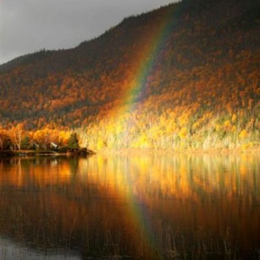 The Humber River in the Fall