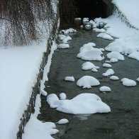 Corner Brook Stream Dec 2009