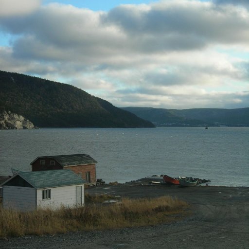 Across the Bay Nov 2009 073