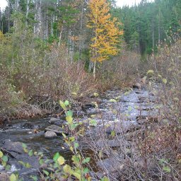 October 2009 038