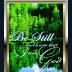 Be Still and Know that I am God