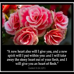Ezekiel_36-26.jpg