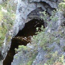 p_00168.jpg