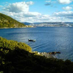 Dory in the Cove.JPG.jpg
