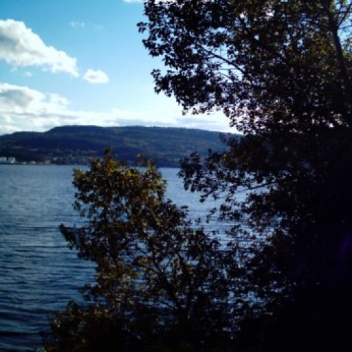 North Shore Scene