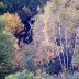 Falls in Autumn