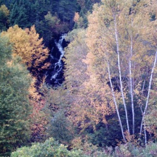 Falls in Autumn