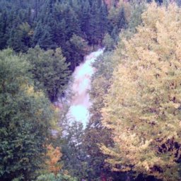 Swollen Falls.JPG.jpg
