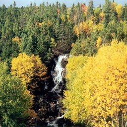 Water Fall.jpg