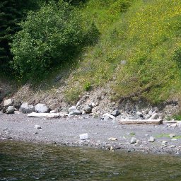 100_0993.JPG.jpg
