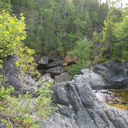 100_1016.JPG.jpg