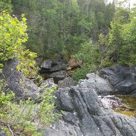 100_1016.JPG.jpg