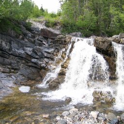 100_1011.JPG.jpg