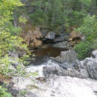 100_1017.JPG.jpg