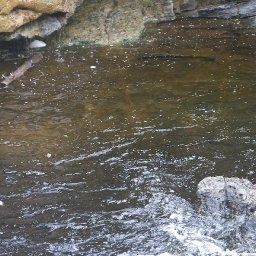 100_1018.JPG.jpg