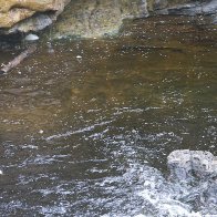 100_1018.JPG.jpg