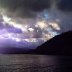 Purple Bay