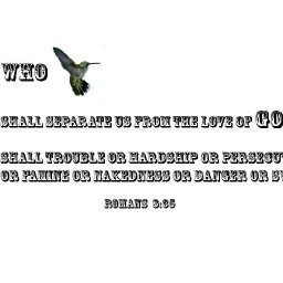 225.jpg