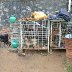 863-DSC_0151
