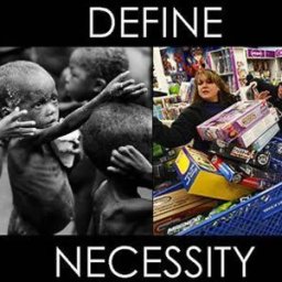 define-necessity-starving-african-children-vs-north-american-greed-shopping1.jpg