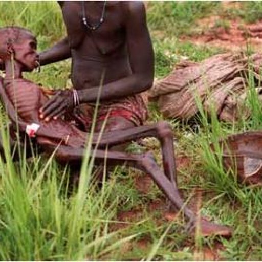 polls_famine_lying_5634_361459_poll_xlarge