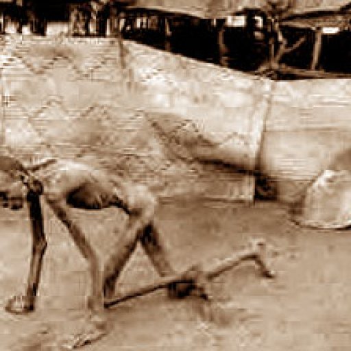 starving_man