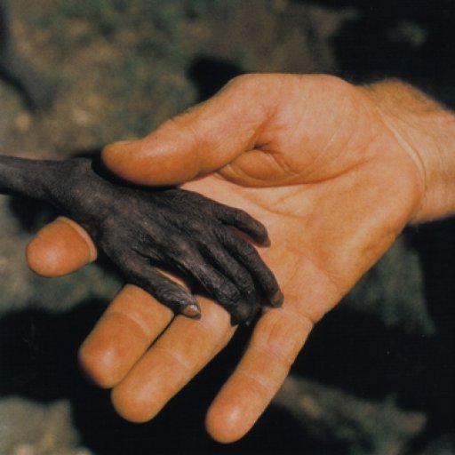 starvingchilduganda_mikewells