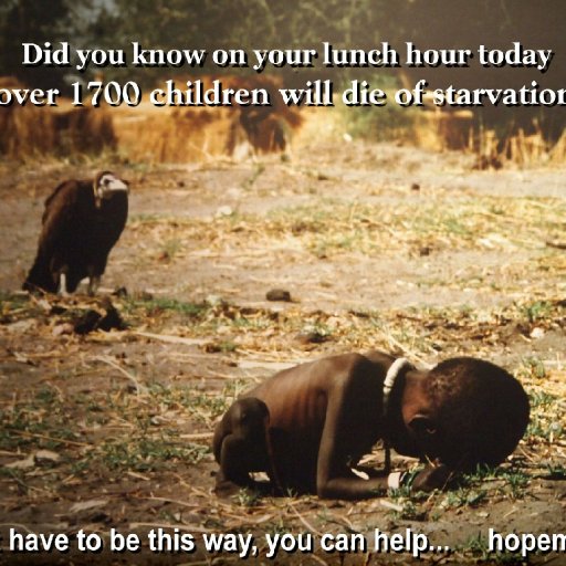 Vulture