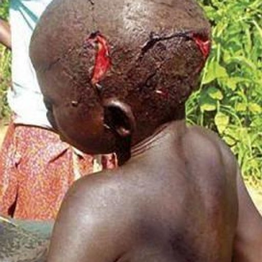 309633_218850121506440_338798374_n