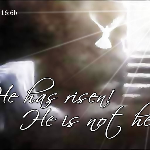 thedoveheisrisen