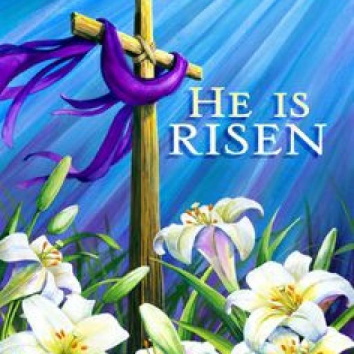 04903a484c75ce6373141c22d3b96717