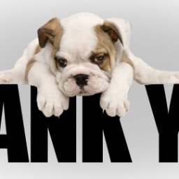 Thank-You-Dog.jpg