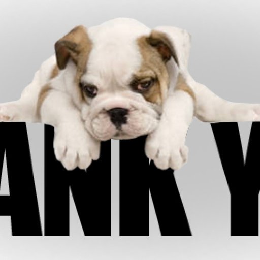 Thank-You-Dog