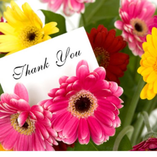 thank-you-image (1)