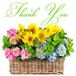 thank-you-flowers.jpg