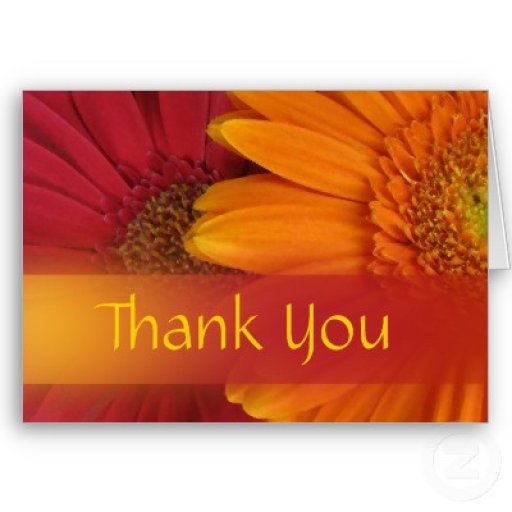 fall_flowers_thank_you_card