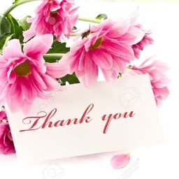 10992898-say-thank-you-on-a-background-of-beautiful-flowers-Stock-Photo.jpg