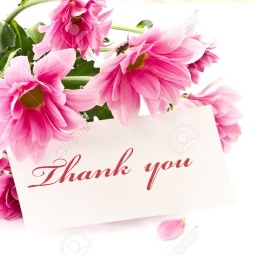 10992898-say-thank-you-on-a-background-of-beautiful-flowers-Stock-Photo