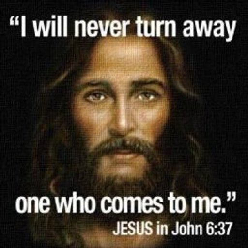 1701012ecc266718910ec9d11991dcbf_400x400