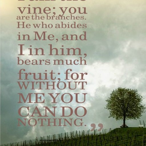 9edf0764394718c44056e15eb1caf0f4