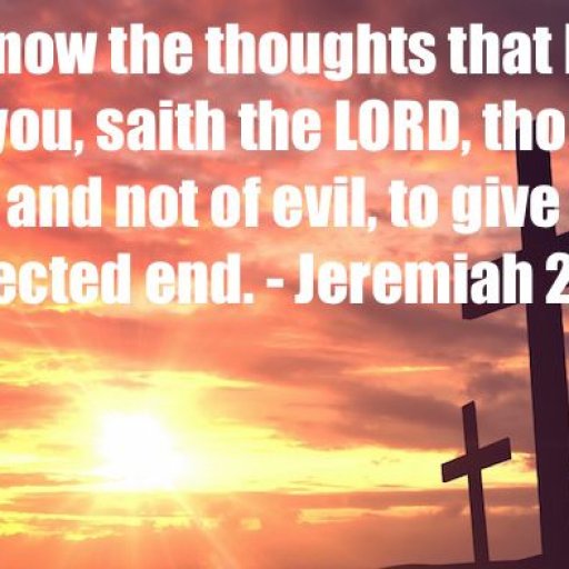 938a4ffb5eed65a1129308ec884ba37c