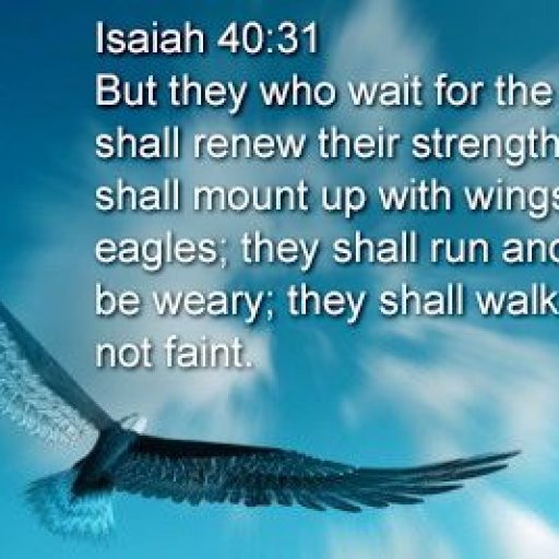 1991e2c3968a3f6656449efc5c62689d