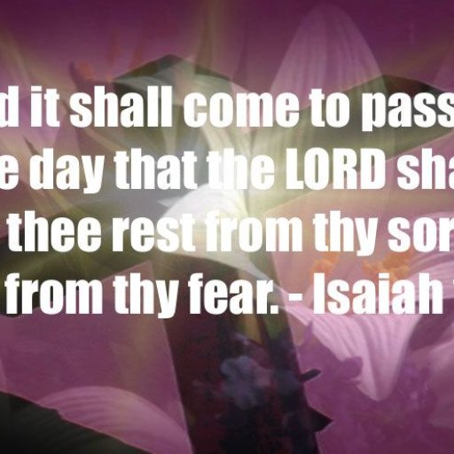 41854c98248f9eade64eb5a910e6e367