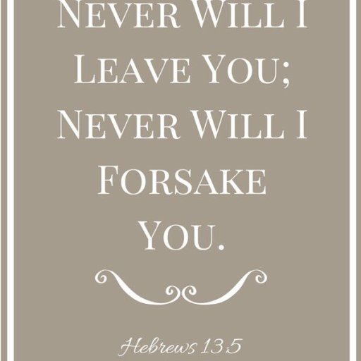 afe6bba53aec2cc33ac2de19d2c627ef