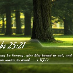 bible-verse-wallpaper-150228014656.jpg