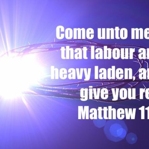 eff228147bdfab2ea44a2a3f481a1ff1