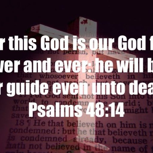 2d384d4d4a8a6cf0adafcb7f2ccc2147