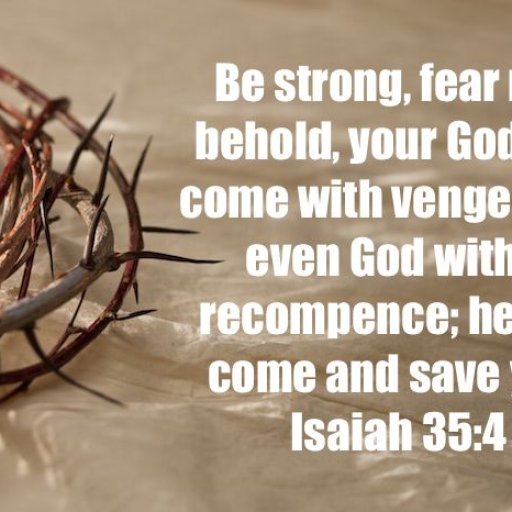 f92bd419ef3bc3357c1b4e785bda6a46